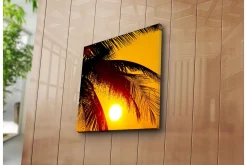 Lerretsbilder|Lerretsbilder-Lerretsbilde 45x45 cm - Solnedgang bak palmer Flerfärgad