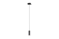 Trio Lighting Marley Taklampe 1-os GU10