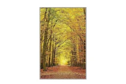 Orientalske Tepper-Matte (180x280) Homefesto 5 Flerfarget