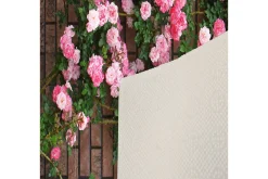 Orientalske Tepper-Matte (100x150) Homefesto 5 Flerfarget