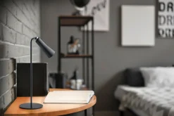 Trio Lighting Vinduslampe|Bordlampe-Maxi LED-Bordlampe Oppladbar Mattsvart Matt svart