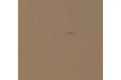 WOOOD Cd-Hylle & Dvd-Hylle-Plateskap Turner Beige
