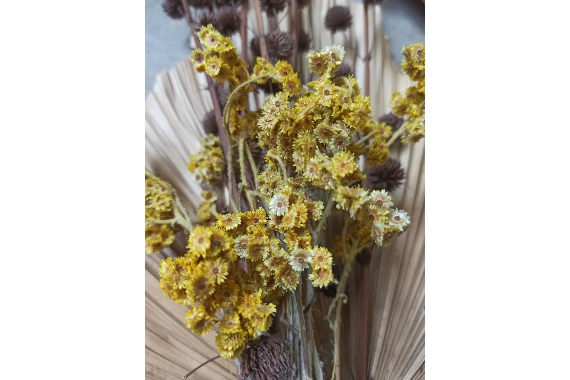 Venture Home Posters|Posters-Poster Bouquet 21x30 cm Grønn/Gul