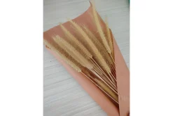 Venture Home Posters|Posters-Poster Dry flowers 50x70 cm Rosa/Beige