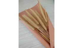 Venture Home Posters|Posters-Poster Dry flowers 21x30 cm Rosa/Beige