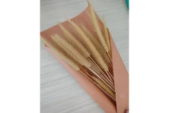 Venture Home Posters|Posters-Poster Dry flowers 30x40 cm Rosa/Beige