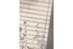 Venture Home Poster Flower Shadow 30x40 cm