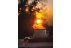 Venture Home Posters|Posters-Poster Morning coffee 70x100 cm Oransje/Svart