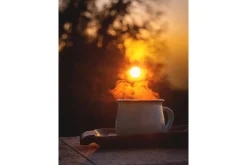 Venture Home Posters|Posters-Poster Morning coffee 30x40 cm Oransje/Svart