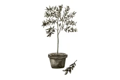 Venture Home Poster Olive 21x30 cm