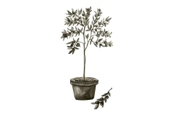 Venture Home Poster Olive 70x100 cm
