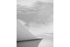 Venture Home Poster Papyrus 70x100 cm