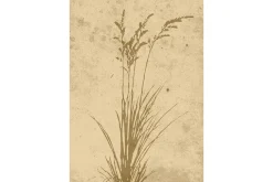 Venture Home Posters|Posters-Poster Plant art 21x30 cm Beige