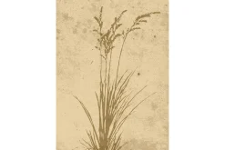 Venture Home Posters|Posters-Poster Plant art 50x70 cm Beige