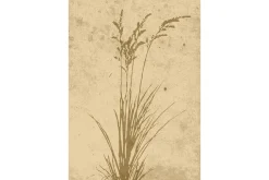 Venture Home Posters|Posters-Poster Plant art 70x100 cm Beige