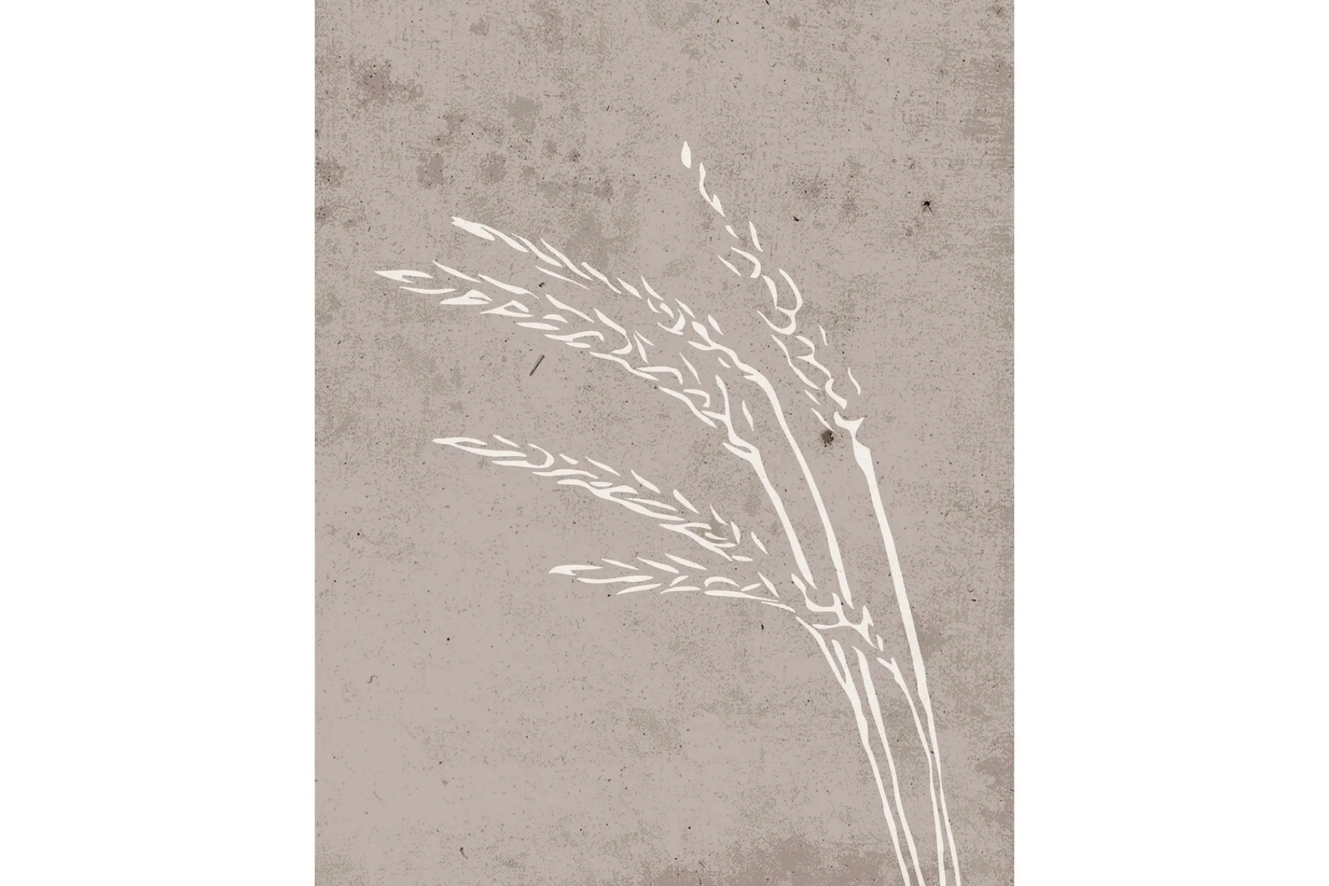 Venture Home Poster Seeds 30x40 cm