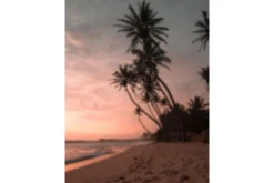 Venture Home Poster Summer 30x40 cm