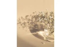 Venture Home Posters|Posters-Poster White Flowers 21x30 cm Beige