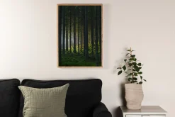 Venture Home Poster Woods 50x70 cm