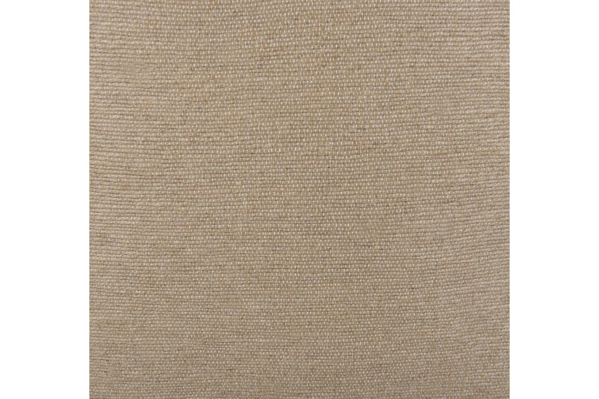 Hagepute|Hagepute-Pynteputer Erigeron Beige