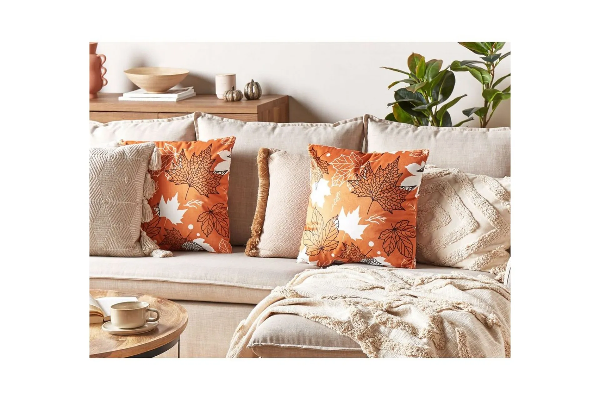 Hagepute|Hagepute-Pynteputer Poinsettia sett à 2 Orange,Hvit,Svart