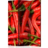 Romdeler Chili Pepper - Background