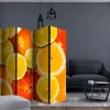 Romdeler Citrus Fruits II