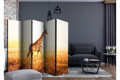 Romdeler Giraffe - Walk II