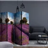 Bretteskjerm-Romdeler Lavender Field in Provence, France II