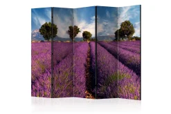Bretteskjerm-Romdeler Lavender Field in Provence, France II