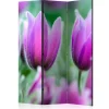 Romdeler Purple Spring Tulips