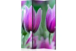 Romdeler Purple Spring Tulips