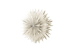 Venture Home Julelys|Adventsstake-Sälen Adventsstjerne / Julelampe 60 cm Beige