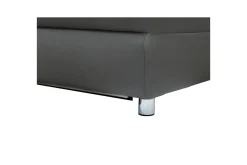 Loft24 Sofa 2-seter Pareli Grå, Lær/PU, Elektrisk recliner