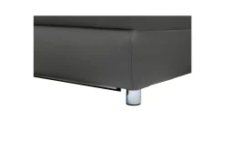 Loft24 2 Seter Sofa-Sofa 2-seter Pareli Grå, Lær/PU, Manuell hvilestol Grey