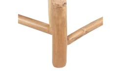 Solseng Ligure