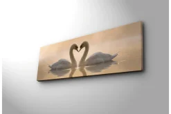 Lerretsbilder|Lerretsbilder-Stort lerretsbilde 90x30 cm - To svaner som danner et hjerte med halsen Flerfärgad