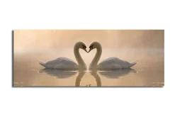 Lerretsbilder|Lerretsbilder-Stort lerretsbilde 90x30 cm - To svaner som danner et hjerte med halsen Flerfärgad
