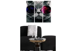 Lerretsbilder|Lerretsbilder-Trelerretsbilde 3-delt 50x70 cm - Grå katt med store solbriller som reflekterer en galakse Flerfärgad