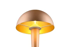 Trio Lighting Nattbordslampe|Bordlampe-Canaria bordlampe E14 (inkl.) kaffe brun