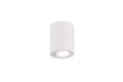 Trio Lighting Cookie plafond GU10