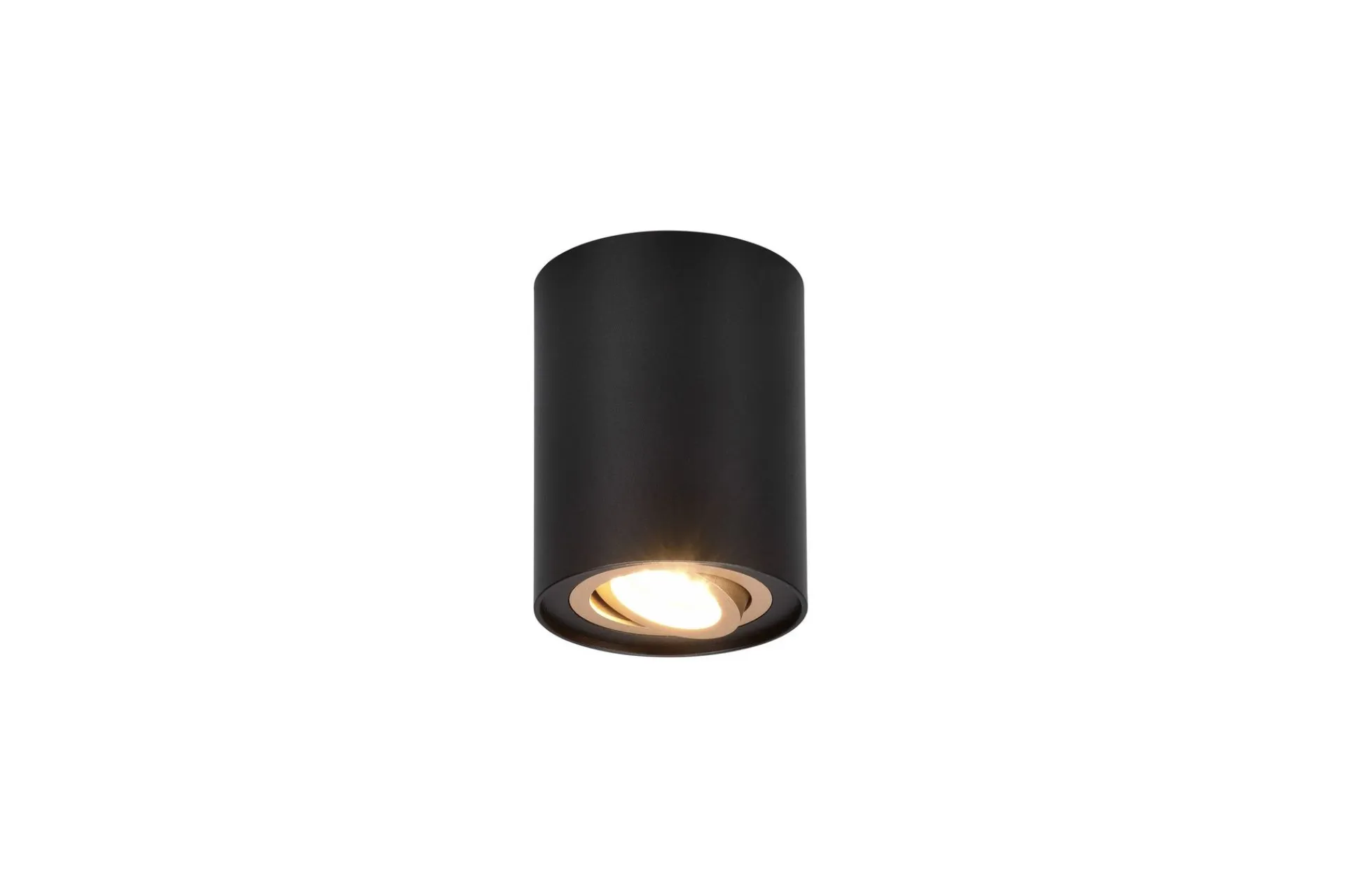 Trio Lighting Spotlights & Downlights-Cookie utendørs spot 1L GU10 Svart/Gull