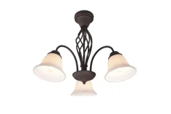 Trio Lighting Rostica plafond 3L E27