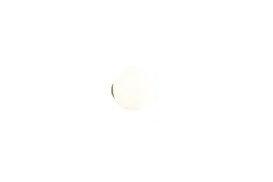 Trio Lighting Vegglampe TRIO Earl Hvit